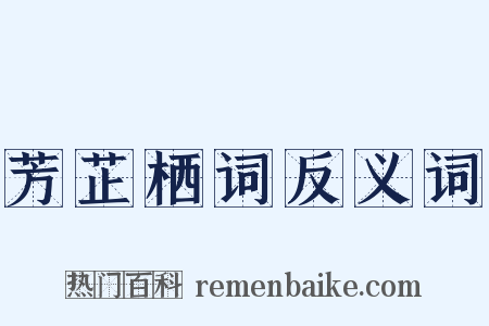 芳芷栖词反义词是什么意思的图片